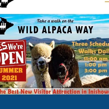 3, Lisvarna House * Buncrana