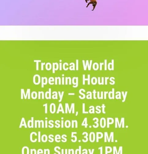 3, Lisvarna House アパート *